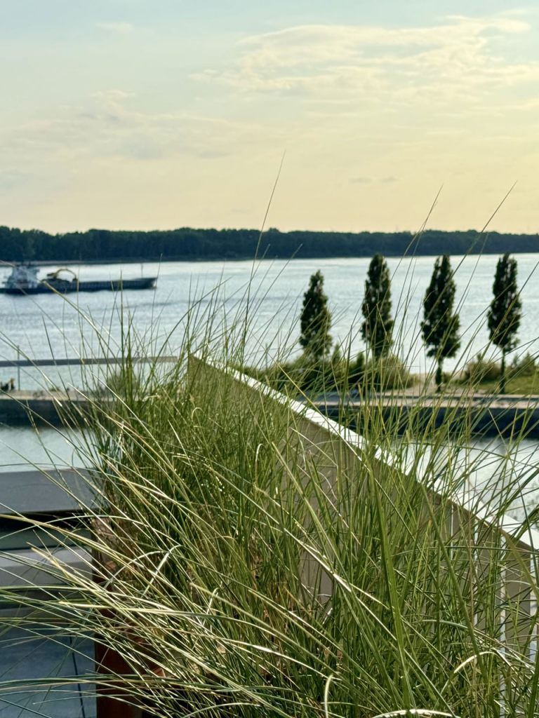 wedel-hafenterrassen-006